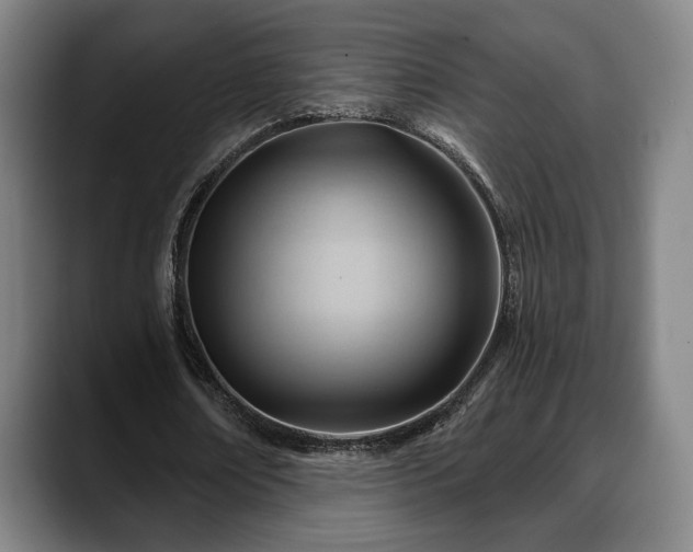 X0000088830674200706141521