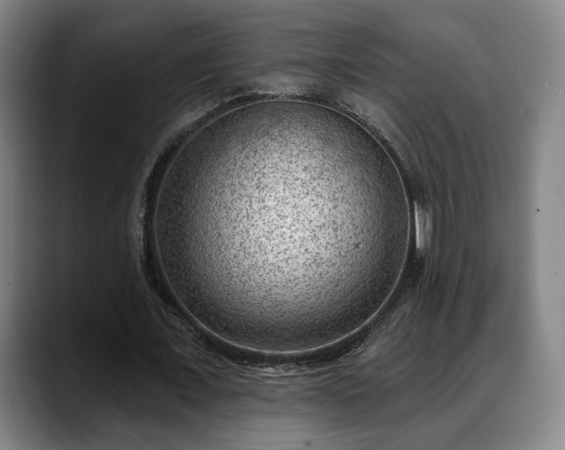 X0000088830675200706141521