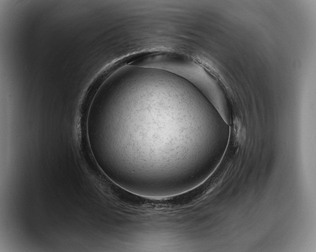 X0000088830676200706141521
