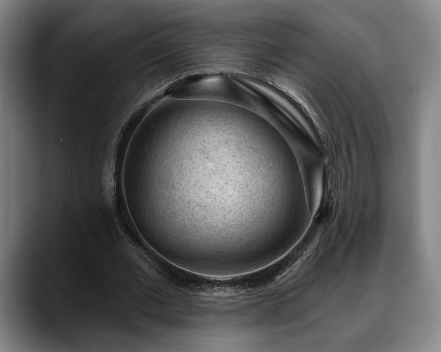 X0000088830677200706141521
