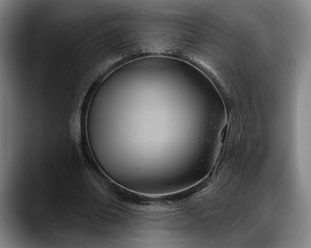 X0000088830678200706141521