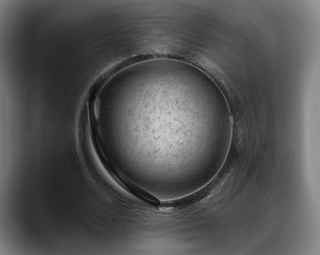 X0000088830680200706141521