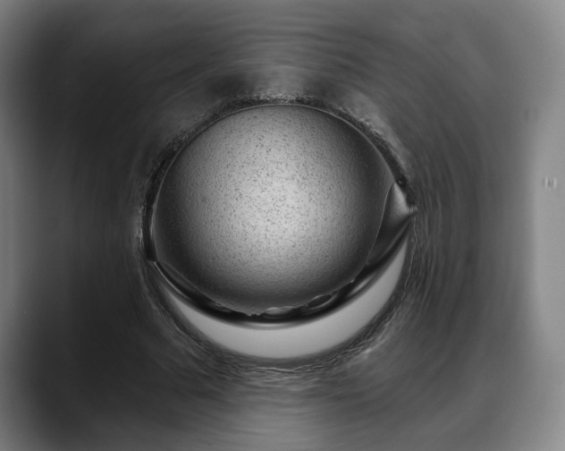 X0000088830681200706141521