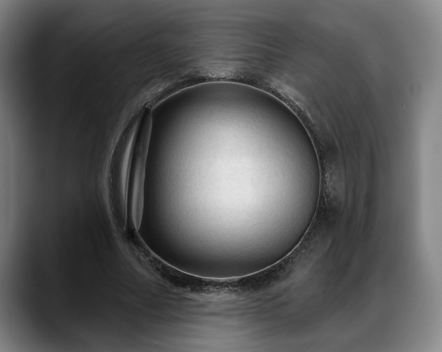 X0000088830682200706141521