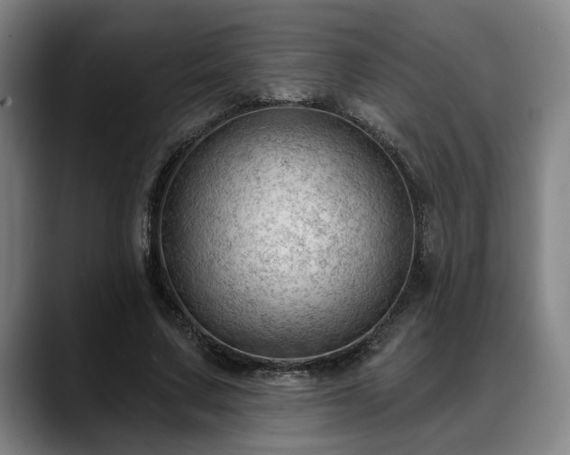 X0000088830683200706141521