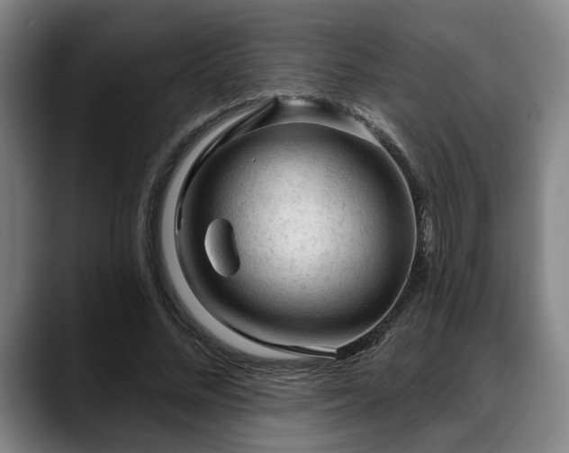 X0000088830684200706141521