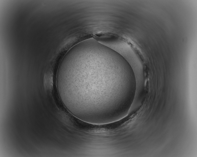 X0000088830685200706141521