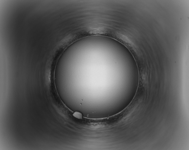 X0000088830686200706141521