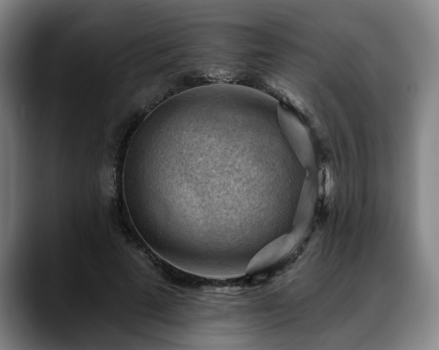 X0000088830689200706141521