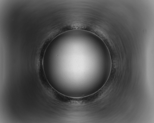 X0000088830690200706141521