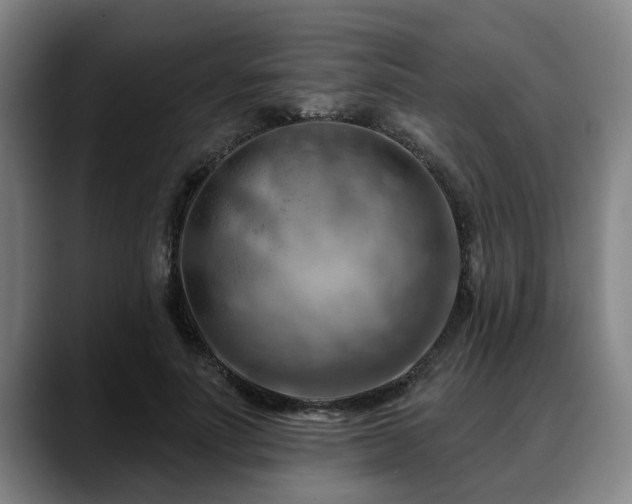 X0000088830691200706141521