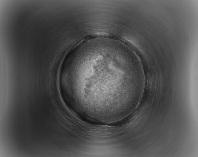 X0000088830692200706141521