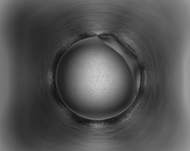 X0000088830693200706141521