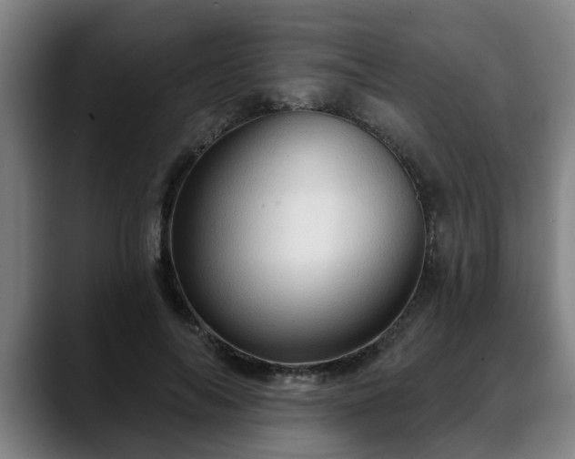 X0000088830694200706141521