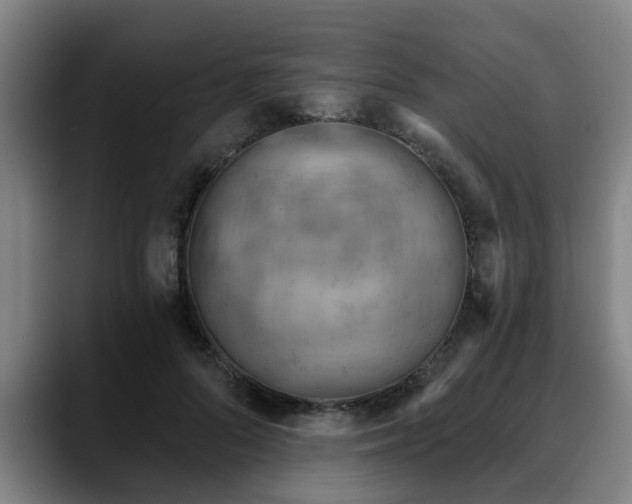 X0000088830696200706141521