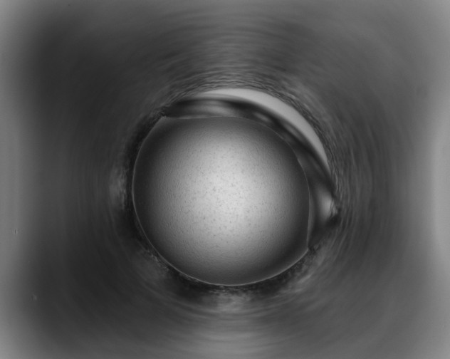 X0000088830697200706141521
