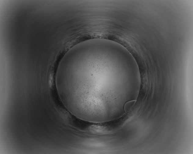 X0000088830699200706141521