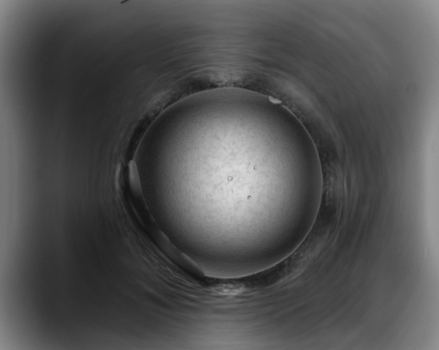 X0000088830700200706141520
