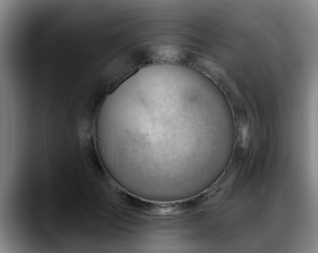X0000088830701200706141520
