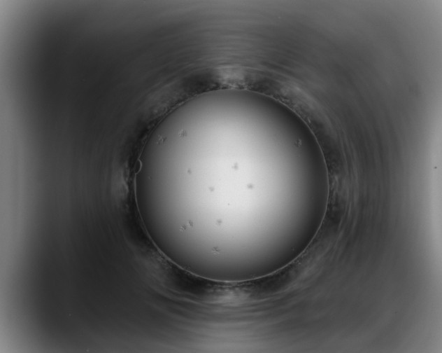 X0000088830702200706141520
