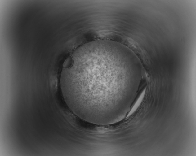 X0000088830703200706141520