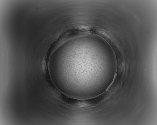 X0000088830704200706141520