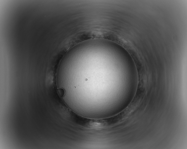 X0000088830706200706141520