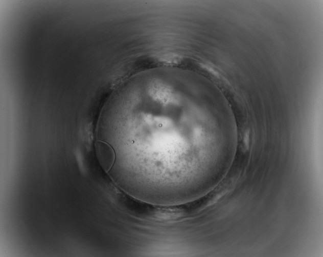 X0000088830707200706141520