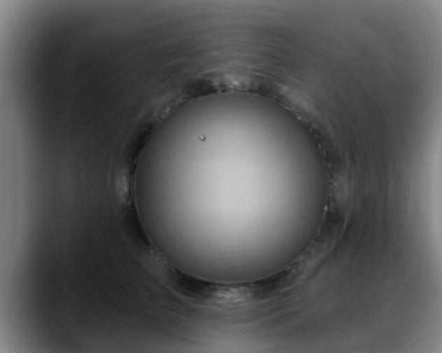 X0000088830709200706141520
