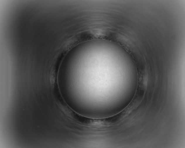 X0000088830710200706141520