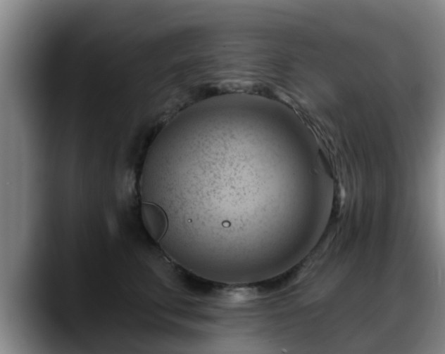 X0000088830711200706141520