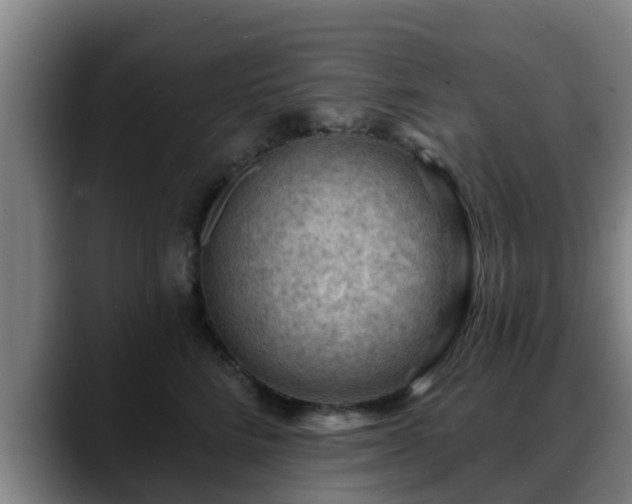 X0000088830712200706141520