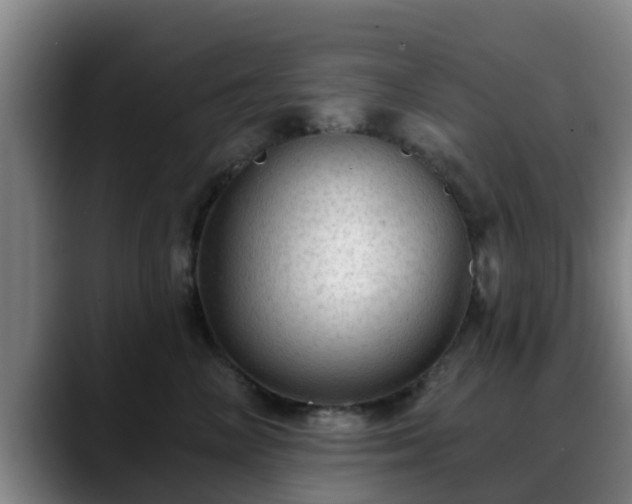 X0000088830714200706141520