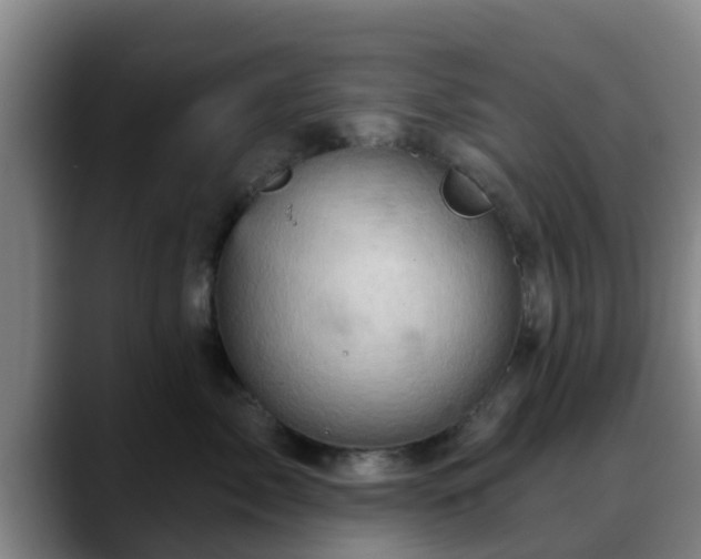 X0000088830717200706141520