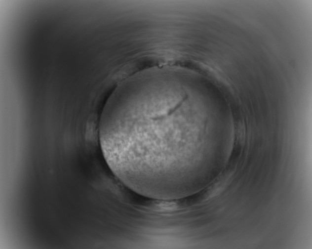 X0000088830719200706141520