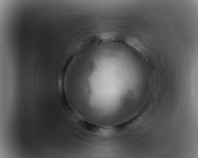 X0000088830720200706141520
