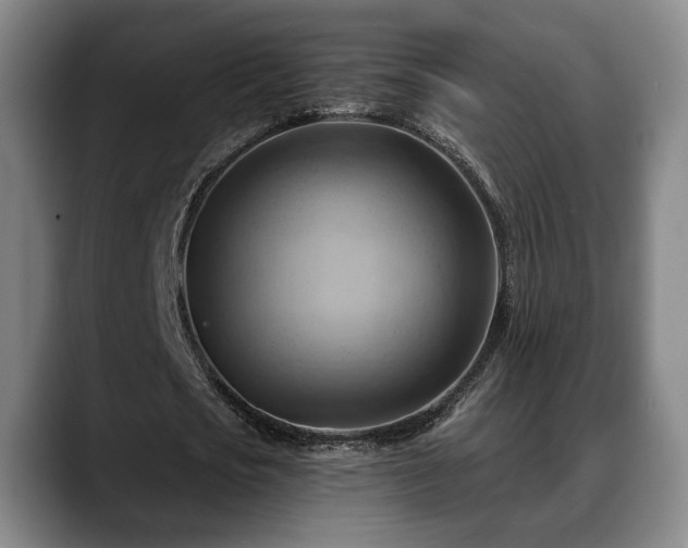 X0000088830721200706141520