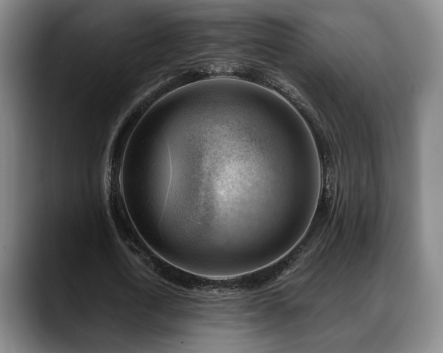 X0000088830722200706141520