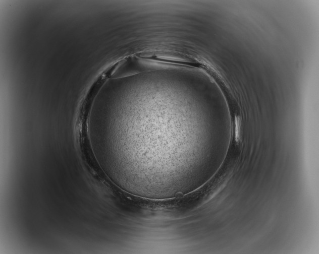 X0000088830723200706141520