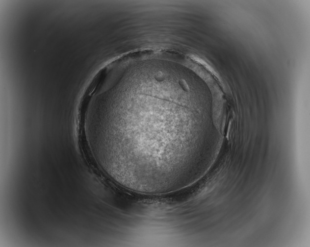 X0000088830724200706141520