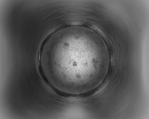 X0000088830725200706141520