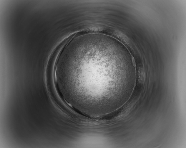 X0000088830726200706141520