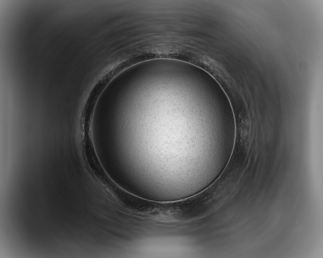 X0000088830727200706141520