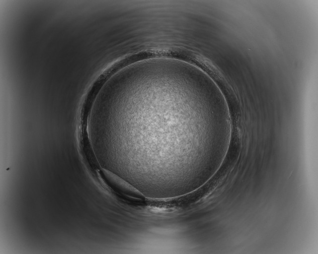 X0000088830728200706141520