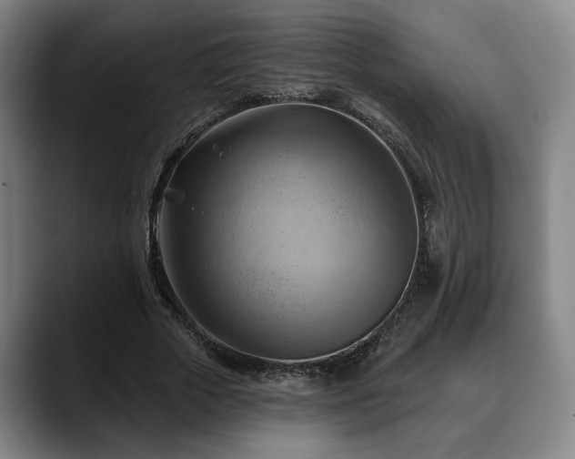 X0000088830729200706141520