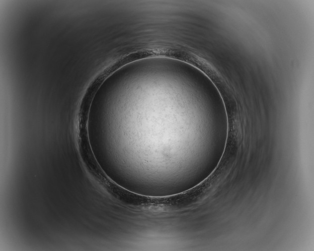 X0000088830730200706141520