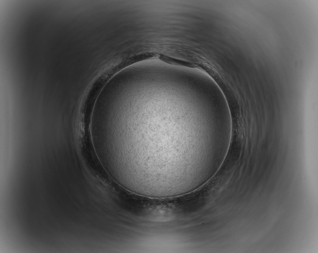 X0000088830731200706141520
