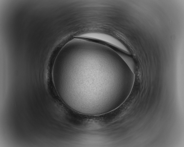 X0000088830732200706141520