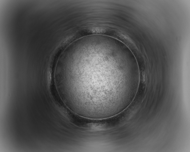 X0000088830733200706141520
