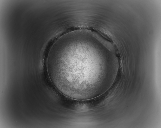 X0000088830735200706141520